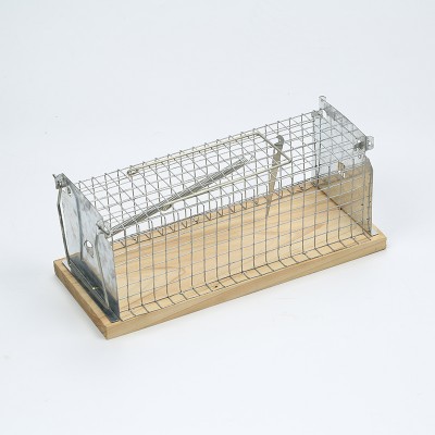 human mouse cage alive iron cage